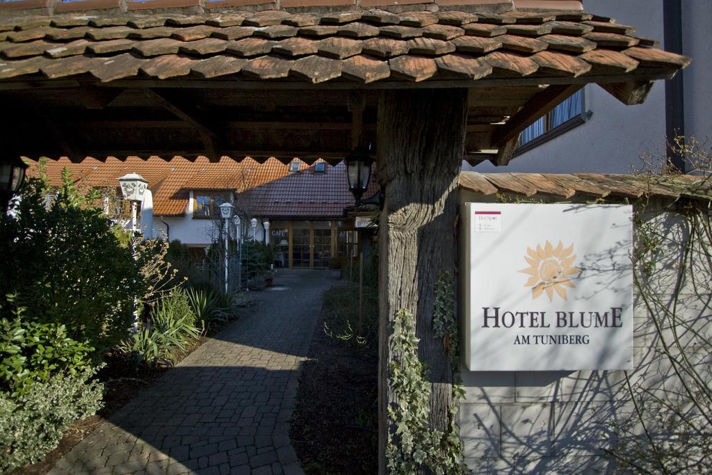 Hotel Blume Фрайбург Екстериор снимка